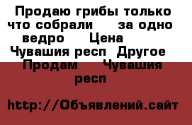 Продаю грибы только что собрали. 350за одно  ведро.  › Цена ­ 350 - Чувашия респ. Другое » Продам   . Чувашия респ.